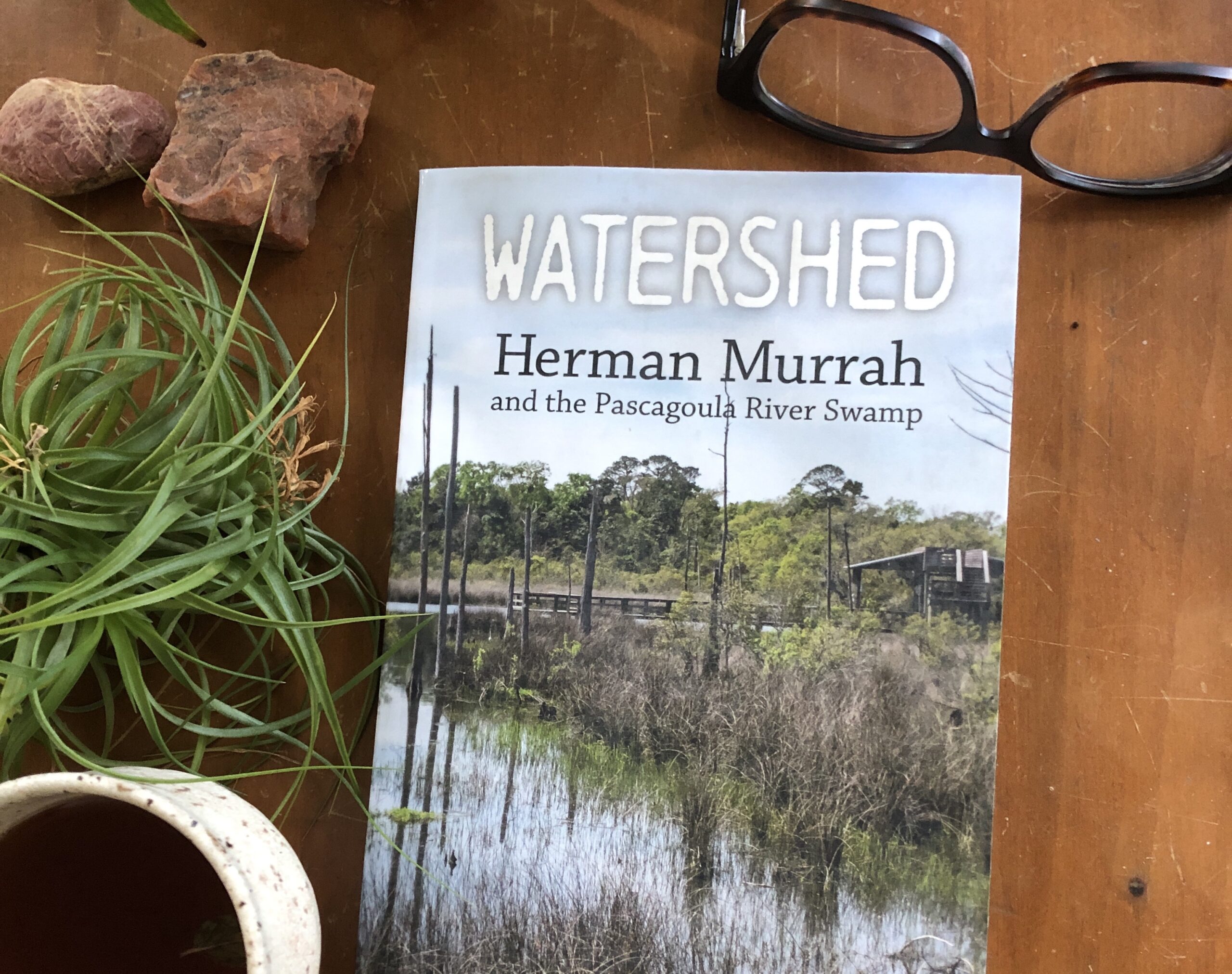 Clarion-Ledger & Hattiesburg American Book Review: WATERSHED